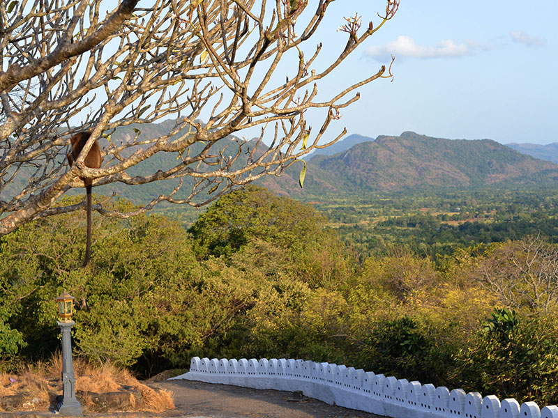 Best things to do in Dambulla - Places to Visit in Dambulla - Attractions in Dambulla - Top Things to do in Dambulla - Dambulla experiences - Leisure places in Dambulla - Dambulla Cave Temple Visit - Dambulla Cultural tours