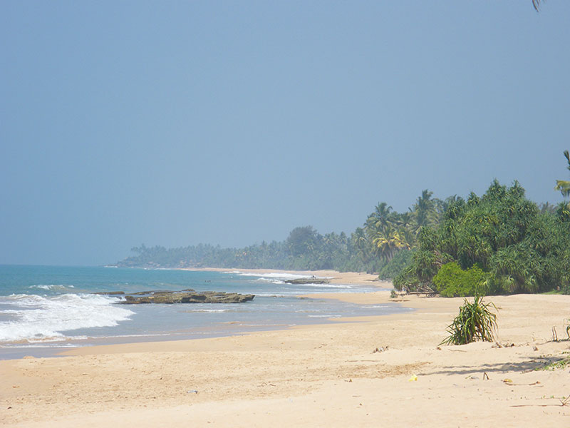 Best things to do in Kosgoda - Places to Visit in Kosgoda - Attractions in Kosgoda - Top Things to do in Kosgoda - Kosgoda experiences - Leisure places in Kosgoda - Turtle Watching in Sri Lanka - Kosgoda Turtle Watching
