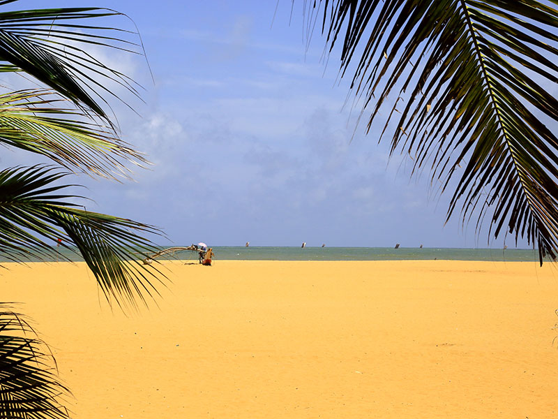 Best things to do in Negombo - Places to Visit in Negombo - Attractions in Negombo - Top Things to do in Negombo - Negombo experiences - Leisure places in Negombo - Negombo Fishing - Fish Market in negombo - Lagoon Boat Trip in Negombo - Hamilton Canel trip in Negombo
