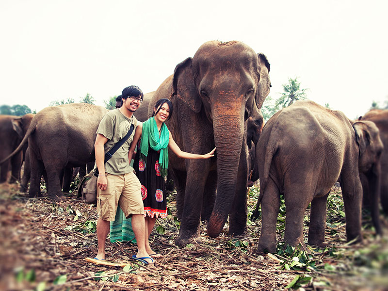 Best things to do in Pinnawala - Places to Visit in Pinnawala - Attractions in Pinnawala - Top Things to do in Pinnawala - Pinnawala experiences - Leisure places in Pinnawala - Pinnawala Elephant Orphanage