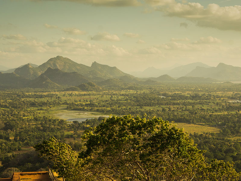 Best things to do in Sigiriya - Places to Visit in Sigiriya - Attractions in Sigiriya - Top Things to do in Sigiriya - Sigiriya experiences - Leisure places in Sigiriya - Sigiriya Rock - Sigiriya Lion Rock - Climbing Sigiriya Rock Fortress - Sigiriya climbing