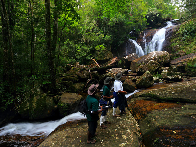 Best things to do in Sinharaja Rain Forest - Trekking in Sinharaja - Sinharaja Rain Forest - Sinharaja Trekking Trips - Trek in Sinharaja - Bird Watching in Sinharaja - Sinharaja Forest Reserve