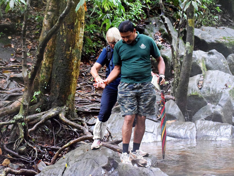 Best things to do in Sinharaja Rain Forest - Trekking in Sinharaja - Sinharaja Rain Forest - Sinharaja Trekking Trips - Trek in Sinharaja - Bird Watching in Sinharaja - Sinharaja Forest Reserve
