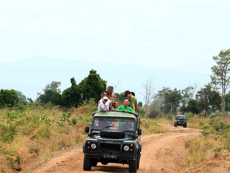 Best things to do in Udawalawe - Udawalawe National Parks - Udawalawe Safari Camping - Udawalawe Safari Camp - Jeep safaris - udawalawe jeep safari - Camping in Udawalawe