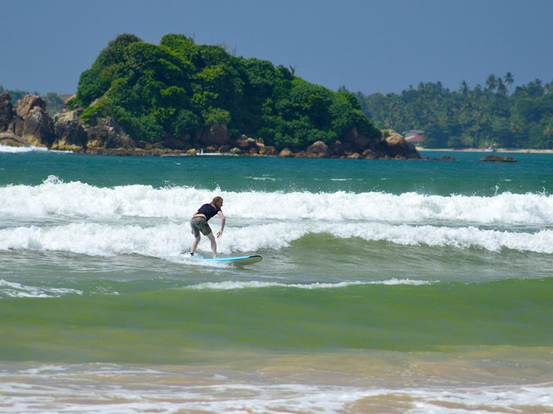 Best things to do in Weligama - Places to Visit in Weligama - Attractions in Weligama - Top Things to do in Weligama - Weligama experiences - Leisure places in Weligama - Whale Watching in Weligama - Weligama beach - Whales in Weligama - Weligama whale watching