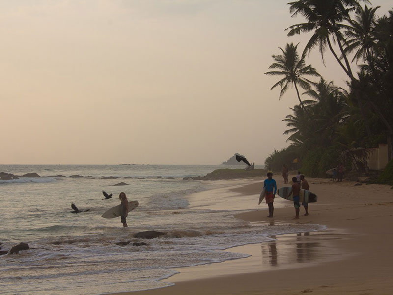 Best things to do in Weligama - Places to Visit in Weligama - Attractions in Weligama - Top Things to do in Weligama - Weligama experiences - Leisure places in Weligama - Whale Watching in Weligama - Weligama beach - Whales in Weligama - Weligama whale watching