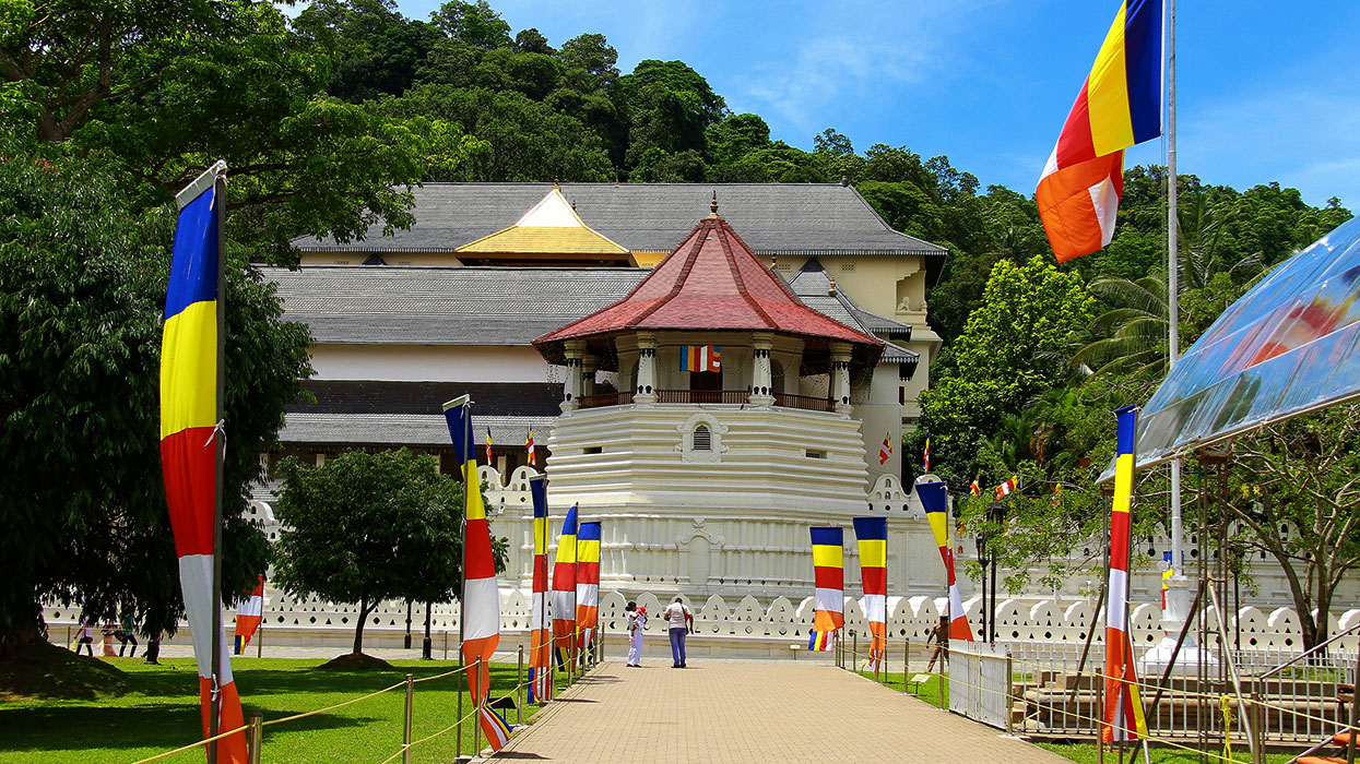 Best things to do in Kandy - Places to Visit in Kandy - Attractions in Kandy - Top Things to do in Kandy - Kandy experiences - Leisure places in Kandy - Temple of the tooth kandy - Village walks in Kandy - cooking demonstration in kandy