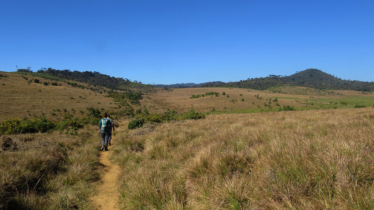 Kirigalpotta Mountains Trekking Tours, Trekking Tours in Sri Lanka, Sri Lanka Trekking Tours to Kirigalpotta Mountains, Kirigalpotta Mountains