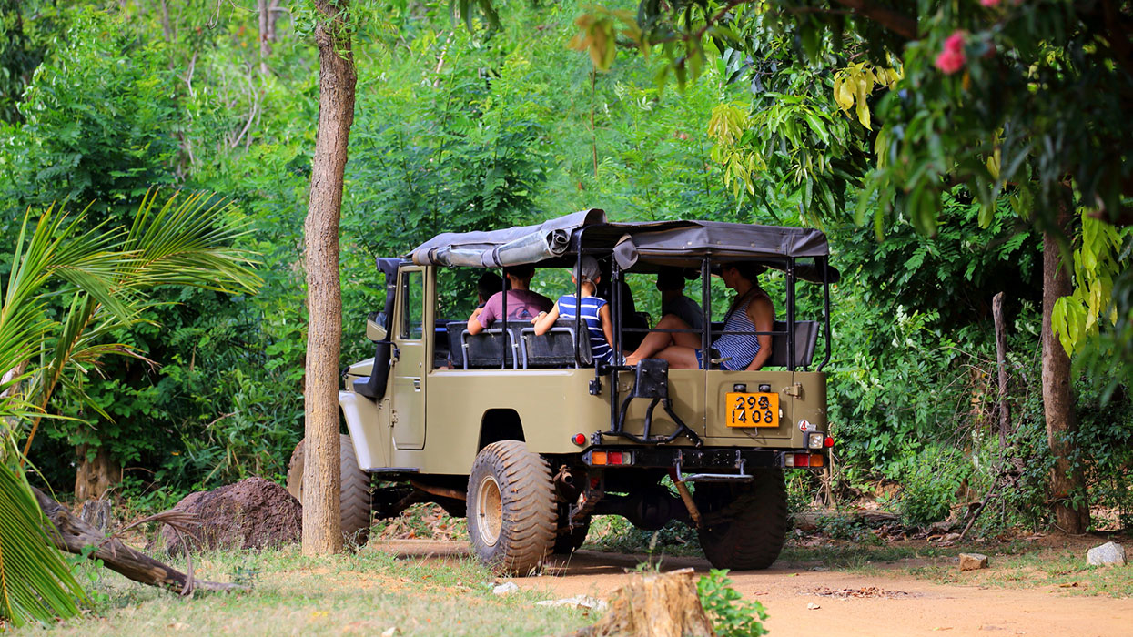 Sigiriya culture trip by Jeep in Sri Lanka, Habarana culture trip by Jeep in Sri Lanka, culture trip by Jeep experience Sri Lanka, Jeep experience Sri Lanka