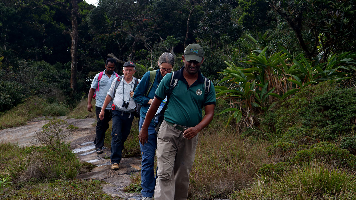 Kncukles Trekking Trips - Knuckles Mountains Trekking Tours - Trekking Trips in Knuckles - Knuckles trekking tours - Sri Lanka Trekking Trips - Trekking tours in Knuckles Mountains - Trekking Trips in Sri Lanka