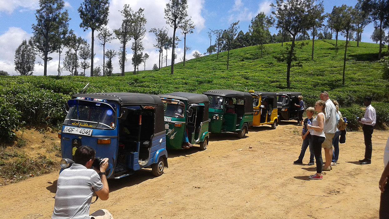 Trekking to Ohiya, Horton Plains, Haputale - Tuk Tuk ride to a Tea estate and factory - Tuk Tuk Ride in Sri Lanka