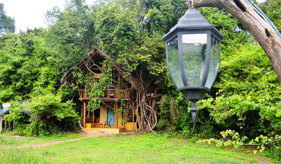 Back of Beyond Dehigaha Ela - Sri Lanka Eco Lodge - Dehigaha Ela Sigiriya - Dehigaha Ela Eco Lodge - Eco Lodge in Sigiriya - Resort Back Beyond Dehigaha Ela, Sigiriya, Sri Lanka