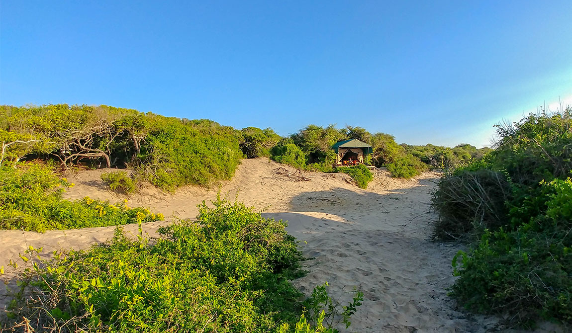 Back of Beyond - Dune Camp Yala - Yala Dune Camp - Yala Camp - Yala Hotels - Tented Camping In Yala - Yala Camping - Luxury camping - Luxury tented camping