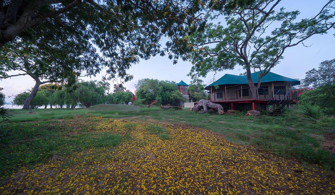 Flameback Eco Resort Yala - Flameback Eco Lodge Yala - Yala Hotels - Hotels in Yala - Best hotels in Yala - Yala Eco Lodges - Eco Lodges in Yala