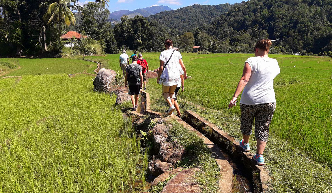 Polwaththa Eco Lodges - Trekking, Nature - Culture in Kandy - Sri Lanka - Polwaththa Eco Lodge, Kandy - Best Hotels in Kandy - Eco Lodges in Kandy - Eco lodge near Kandy