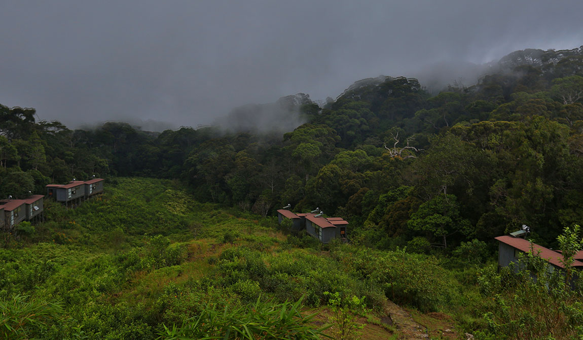 The Rainforest Ecolodge - Sinharaja, Deniyaya, Sri Lanka  - Ecolodge Sri Lanka - eco friendly hotels in sri lanka - sinharaja hotels - the rainforest ecolodge sinharaja - sri lanka nature tours - sinharaja nature trails - deniyaya - sri lanka