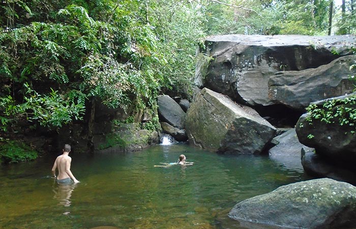 Trek through the country side and Trekking Trips in Sri Lanka - Trek through the Country Side  and scenic trekking tours in Sri Lanka - Trek through the Country Side  and trekking tours - Trekking Trips in bentota - Country Walk in Sri Lanka - Village Walk in Sri Lanka