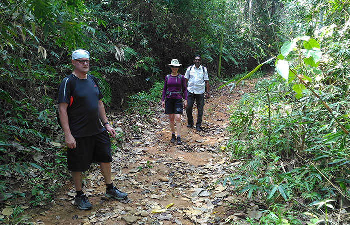 Trek through the country side and Trekking Trips in Sri Lanka - Trek through the Country Side  and scenic trekking tours in Sri Lanka - Trek through the Country Side  and trekking tours - Trekking Trips in bentota - Country Walk in Sri Lanka - Village Walk in Sri Lanka