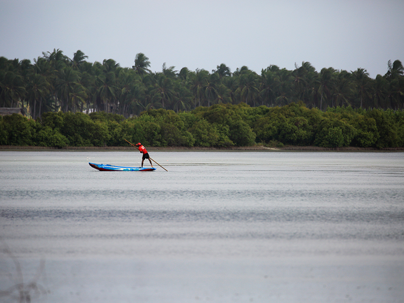 Cross Kalpitiya Lagoon by boat with a fisherman, Kalpitiya Lagoon Tou, Boat Trip with a fisherman in Kalpitya, Kalpitiya lagoon, Boat trip in Kalpitiya