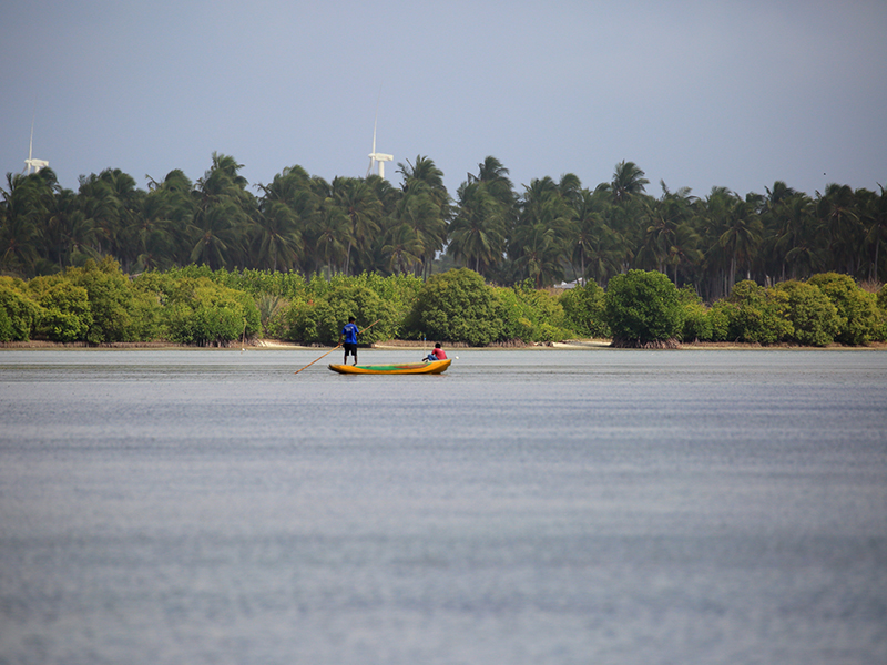 Cross Kalpitiya Lagoon by boat with a fisherman, Kalpitiya Lagoon Tou, Boat Trip with a fisherman in Kalpitya, Kalpitiya lagoon, Boat trip in Kalpitiya