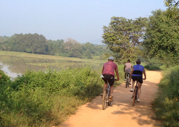 Cycling in Sigiriya, Cycling in Sri Lanka, Tours in Sri Lanka, Cycling Experience Sri Lanka, Cycle Tours Sri Lanka, Cycle Tours Sigiriya, Cycling Tour in Sri Lanka, Cycling Experience