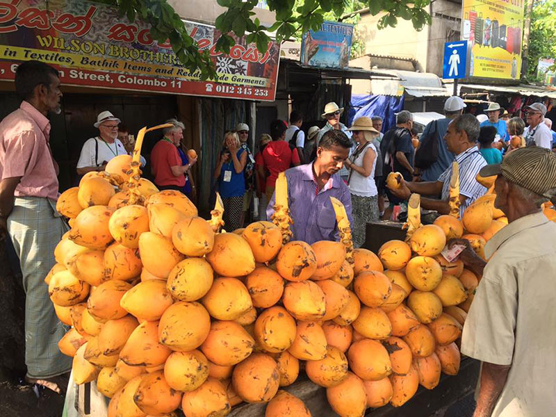 Colombo City walk, Colombo City walk Tours, Colombo walk Tours, Walk Tours in Colombo City, Street Food Tours in Colombo, Colombo food Tours, Walk Tours in Colombo, City Tours in Colombo, Colombo City experience in Sri lanka