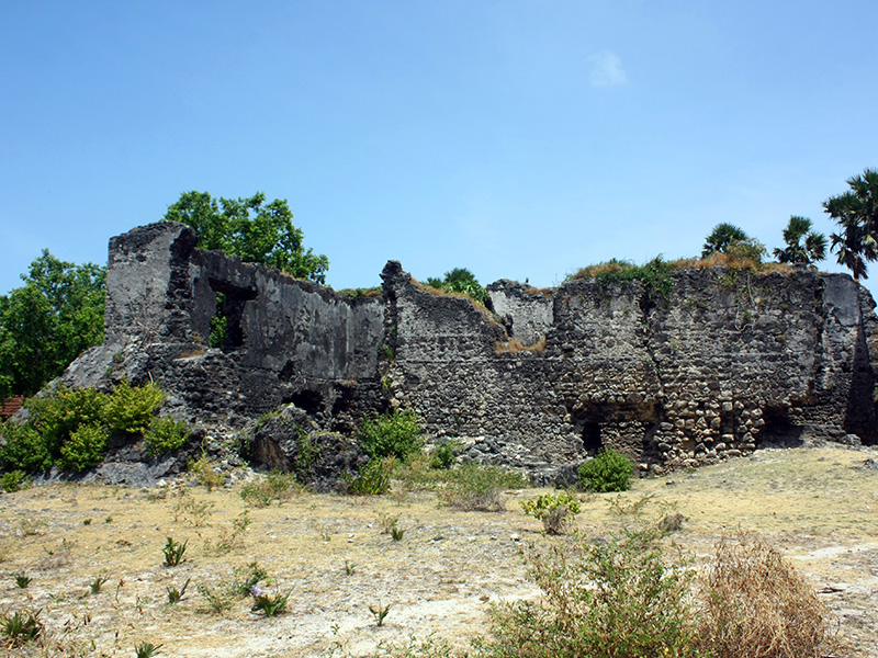 Explore Jaffna's Delft Island by a Catamaran Cruise - Delft Island Tour - Jaffna Tours - Explore Jaffna's Delft Island - Catamaran Cruise in Jaffna - Jaffna Catamaran Cruise