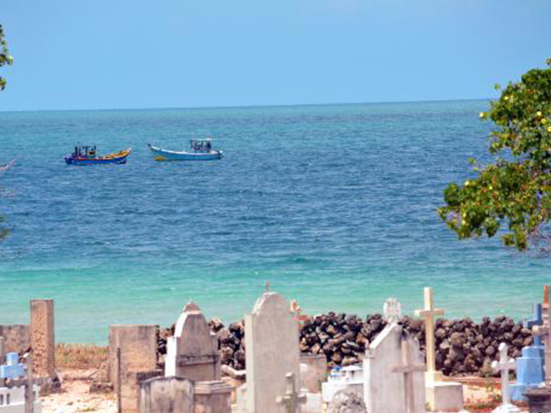 Explore Jaffna's Delft Island by a Catamaran Cruise - Delft Island Tour - Jaffna Tours - Explore Jaffna's Delft Island - Catamaran Cruise in Jaffna - Jaffna Catamaran Cruise