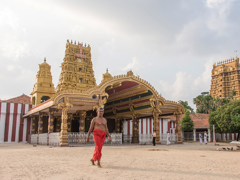 Explore Jaffna's Delft Island by a Catamaran Cruise - Delft Island Tour - Jaffna Tours - Explore Jaffna's Delft Island - Catamaran Cruise in Jaffna - Jaffna Catamaran Cruise