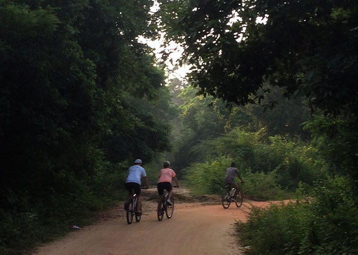 Cycling in Sigiriya, Cycling in Sri Lanka, Tours in Sri Lanka, Cycling Experience Sri Lanka, Cycle Tours Sri Lanka, Cycle Tours Sigiriya, Cycling Tour in Sri Lanka, Cycling Experience