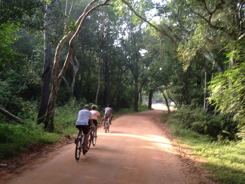 Cycling in Sigiriya, Cycling in Sri Lanka, Tours in Sri Lanka, Cycling Experience Sri Lanka, Cycle Tours Sri Lanka, Cycle Tours Sigiriya, Cycling Tour in Sri Lanka, Cycling Experience