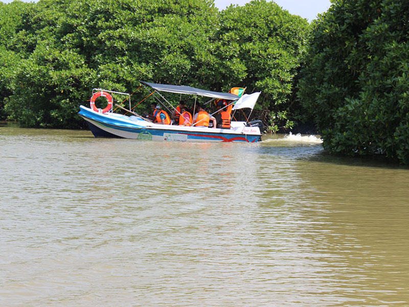 Fishing in Negombo - Catamaran Sailing tours in Negombo - Negombo Fishing Catamaran Tour - Negombo Fishing Tour - Sailing Tours in Sri Lanka