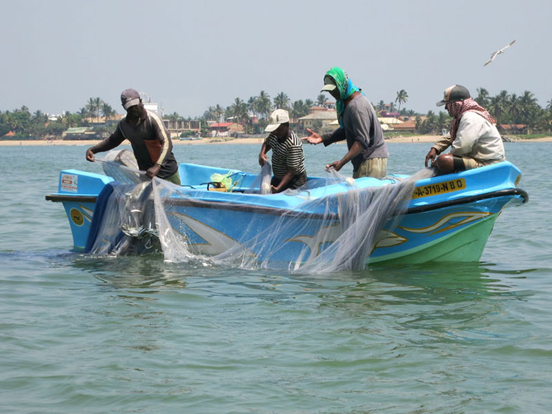 Fishing in Negombo - Catamaran Sailing tours in Negombo - Negombo Fishing Catamaran Tour - Negombo Fishing Tour - Sailing Tours in Sri Lanka