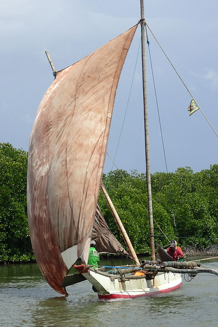 Fishing in Negombo - Catamaran Sailing tours in Negombo - Negombo Fishing Catamaran Tour - Negombo Fishing Tour - Sailing Tours in Sri Lanka