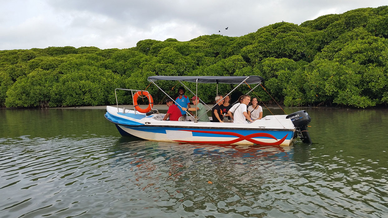 Fishing in Negombo - Catamaran Sailing tours in Negombo - Negombo Fishing Catamaran Tour - Negombo Fishing Tour - Sailing Tours in Sri Lanka