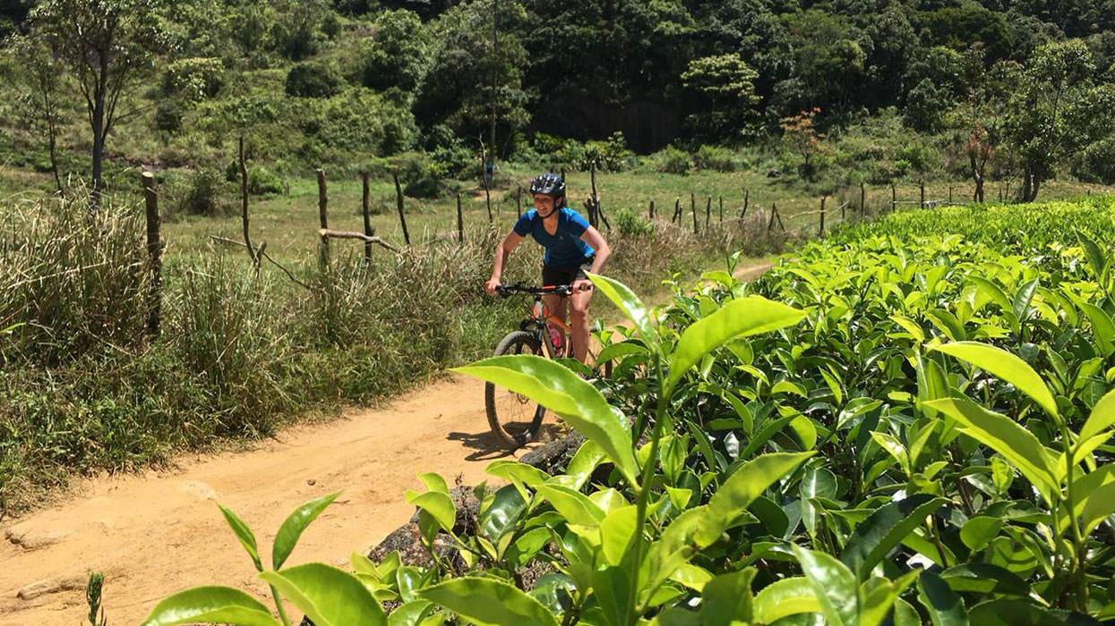 Mountain Biking in Knuckles Mountains - Biking Tours Knuckles Mountains -  Kncukles Mountain Biking - Sri Lanka Mountain Biking - Biking Tours in Sri Lanka -  Sri Lanka Biking Tours