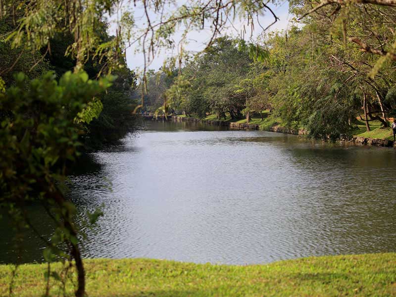 Jungle trekking Tours in Sigiriya, Sigiriya Jungle Tours, Trekking tours in Habarana, Sigiriya jungle trekking tours, Jungle trekking tours in Sri Lanka, Nature walks and nature trails in Sigiriya, Nature trails in Habarana