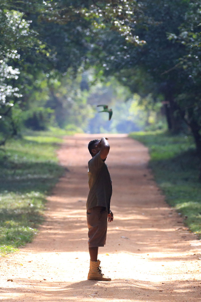 Jungle trekking Tours in Sigiriya, Sigiriya Jungle Tours, Trekking tours in Habarana, Sigiriya jungle trekking tours, Jungle trekking tours in Sri Lanka, Nature walks and nature trails in Sigiriya, Nature trails in Habarana