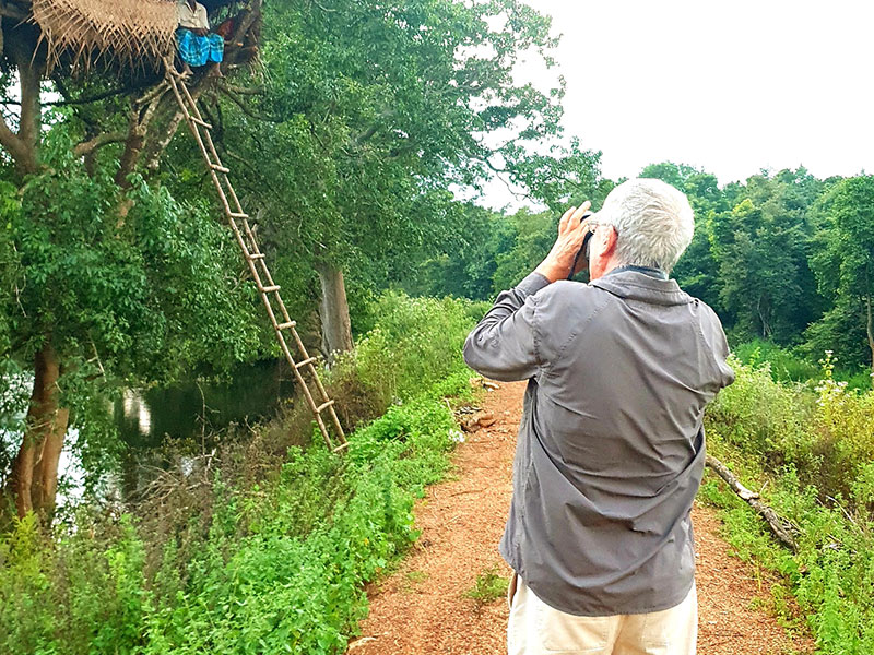 Jungle trekking Tours in Sigiriya, Sigiriya Jungle Tours, Trekking tours in Habarana, Sigiriya jungle trekking tours, Jungle trekking tours in Sri Lanka, Nature walks and nature trails in Sigiriya, Nature trails in Habarana