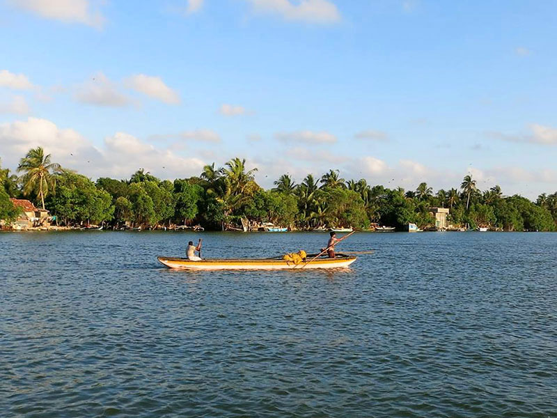 Hamilton canal Boat Tours, Boat Tours in Hamilton Canal, Boat Trips in Hamilt Canal, Hamilton Canal Boat Trips, Boat Trips in Hamilton Canal, Negombo hamilton Canal Boat Tours, Negombo Boat Tours, Boat Tours in Hamilton Canal