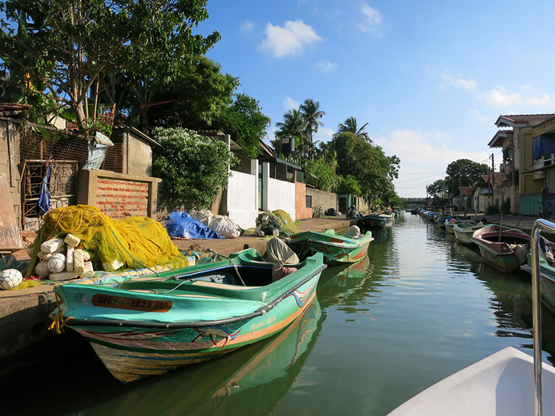 Hamilton canal Boat Tours, Boat Tours in Hamilton Canal, Boat Trips in Hamilt Canal, Hamilton Canal Boat Trips, Boat Trips in Hamilton Canal, Negombo hamilton Canal Boat Tours, Negombo Boat Tours, Boat Tours in Hamilton Canal