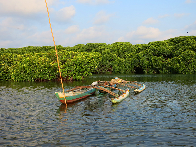 Hamilton canal Boat Tours, Boat Tours in Hamilton Canal, Boat Trips in Hamilt Canal, Hamilton Canal Boat Trips, Boat Trips in Hamilton Canal, Negombo hamilton Canal Boat Tours, Negombo Boat Tours, Boat Tours in Hamilton Canal