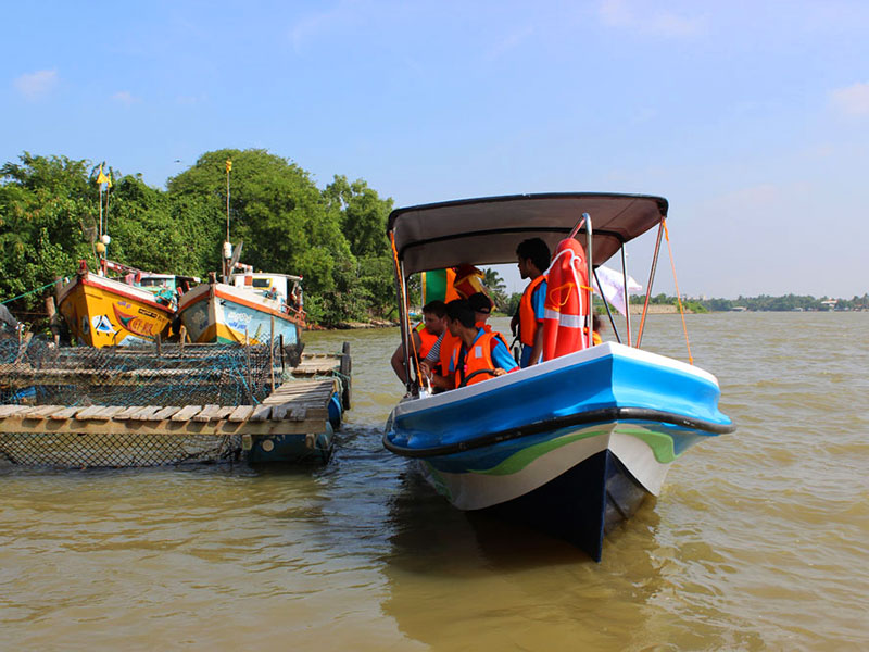 Negombo Lagoon Boat Tour, Sri lanka Boat tours, Negombo lagoon boat tours in Sri Lanka, River cruises in Negombo Sri Lanka, River activities in Negombo, Morning Lagoon Boat Tour