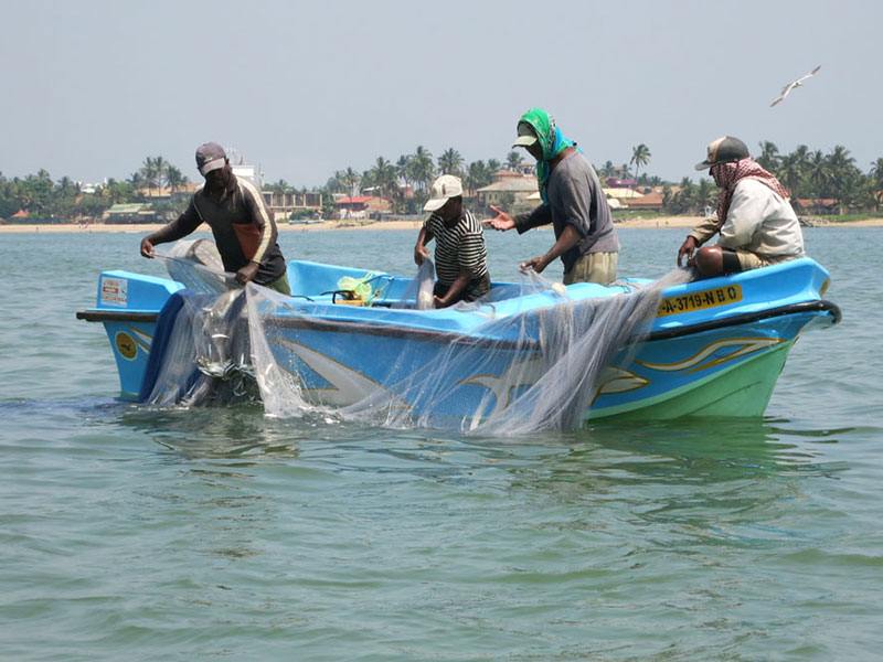 Negombo Lagoon Boat Tour, Sri lanka Boat tours, Negombo lagoon boat tours in Sri Lanka, River cruises in Negombo Sri Lanka, River activities in Negombo, Morning Lagoon Boat Tour