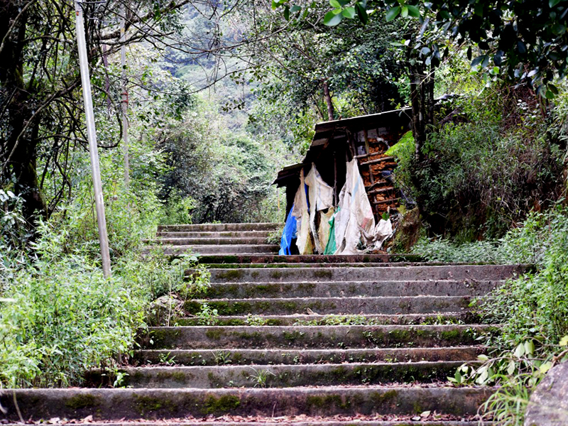 Adams Peak - Adam’s Peak guided tours - Climb Adam’s Peak - Adams Peak Hiking trips - Tours to Adam’s Peak - Adams Peak Tours - Hike to Adam's Peak - Adam's Peak Hiking Tours