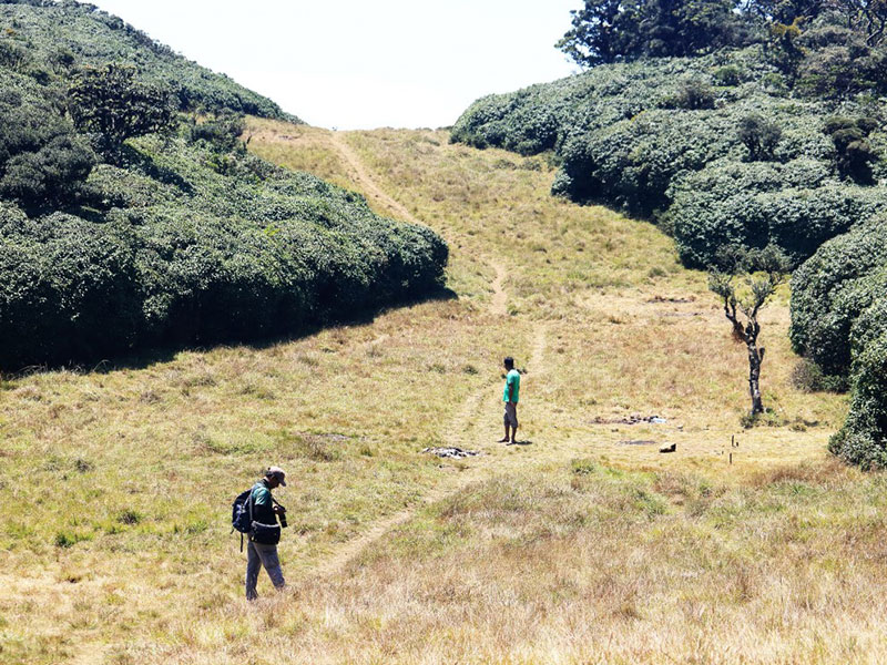 Trekking tours in Knuckles Mountains - Kncukles Trekking Trips - Knuckles Mountains Trekking Tours - Trekking Trips in Knuckles - Knuckles trekking tours - Sri Lanka Trekking Trips - Trekking Trips in Sri Lanka