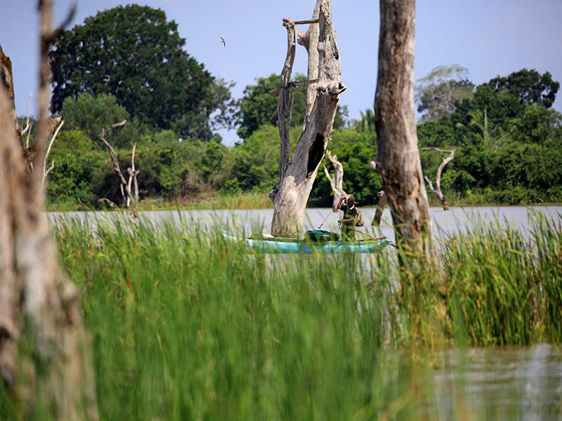 Farm Stay and Elephant watching in Sri Lanka, Rural Farm Stay in Sri Lanka, Sri Lanka Experiences, Wildlife experience Sri Lanka