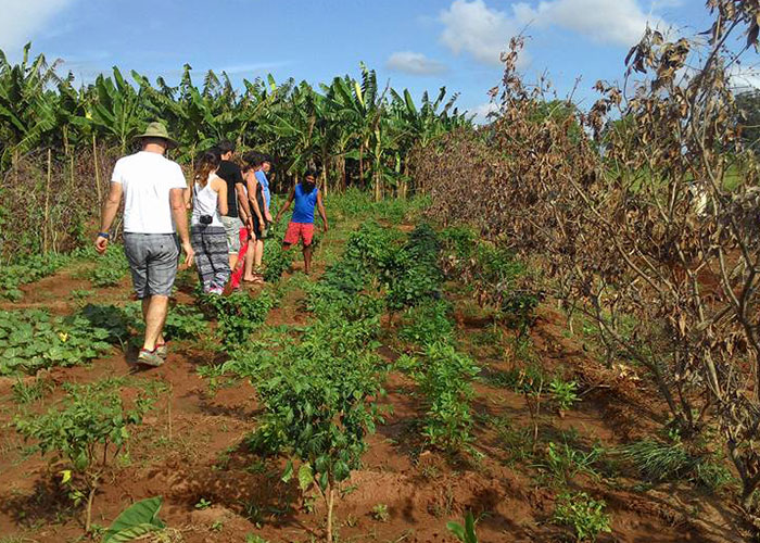 Farm Stay and Elephant watching in Sri Lanka, Rural Farm Stay in Sri Lanka, Sri Lanka Experiences, Wildlife experience Sri Lanka