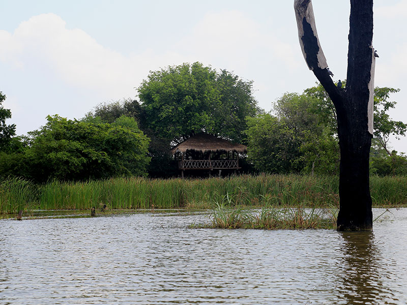 Farm Stay and Elephant watching in Sri Lanka, Rural Farm Stay in Sri Lanka, Sri Lanka Experiences, Wildlife experience Sri Lanka