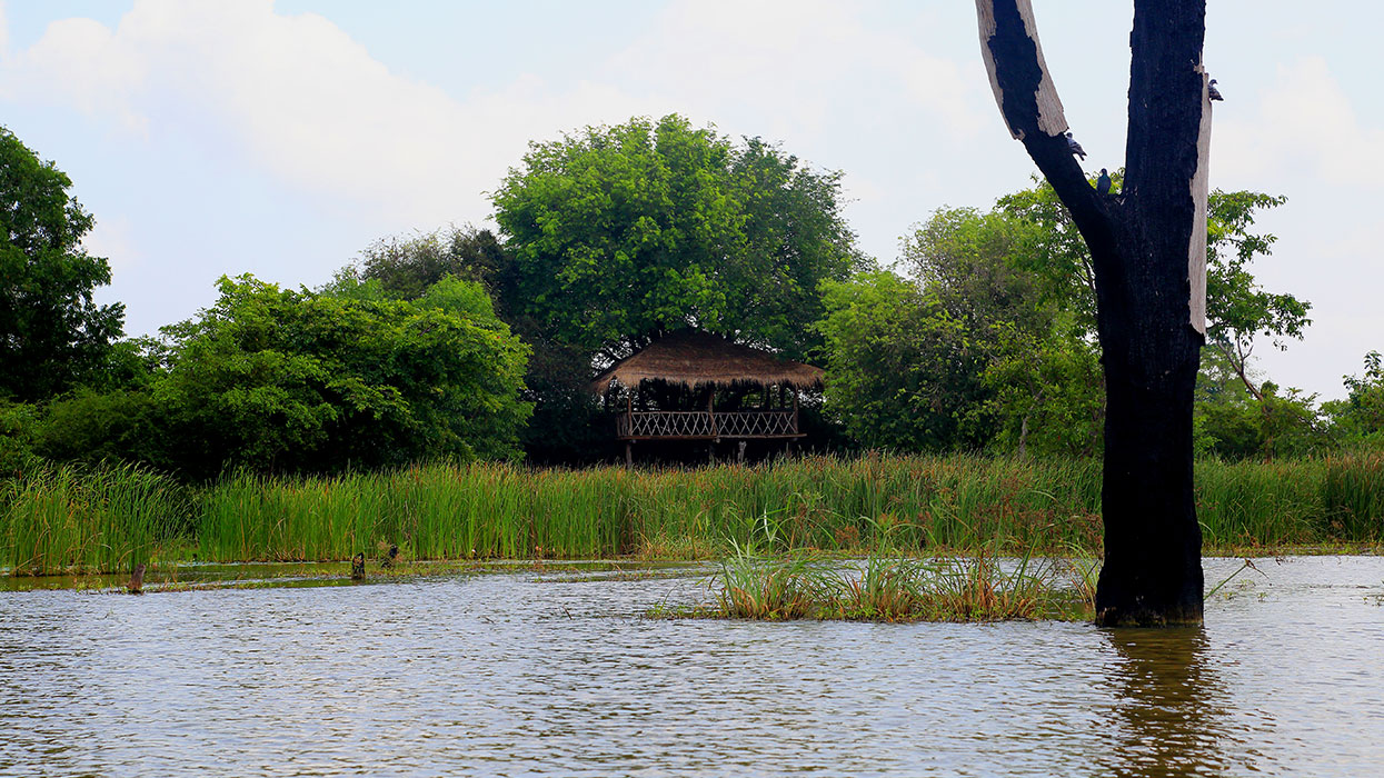 Farm Stay and Elephant watching in Sri Lanka, Rural Farm Stay in Sri Lanka, Sri Lanka Experiences, Wildlife experience Sri Lanka